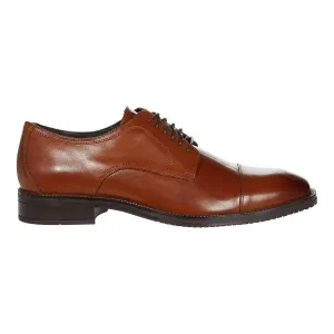 Cole Haan Chaussures Oxford Modernes Essentielles pour Homme - Tan