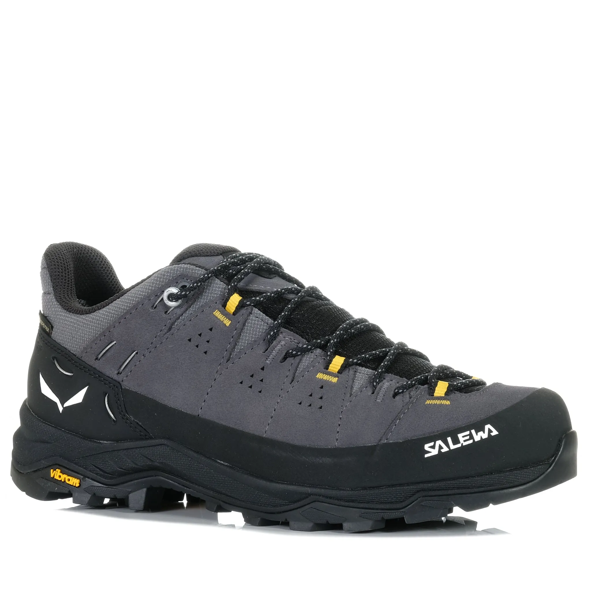 Salewa Alp Trainer 2 GTX Onyx/Noir