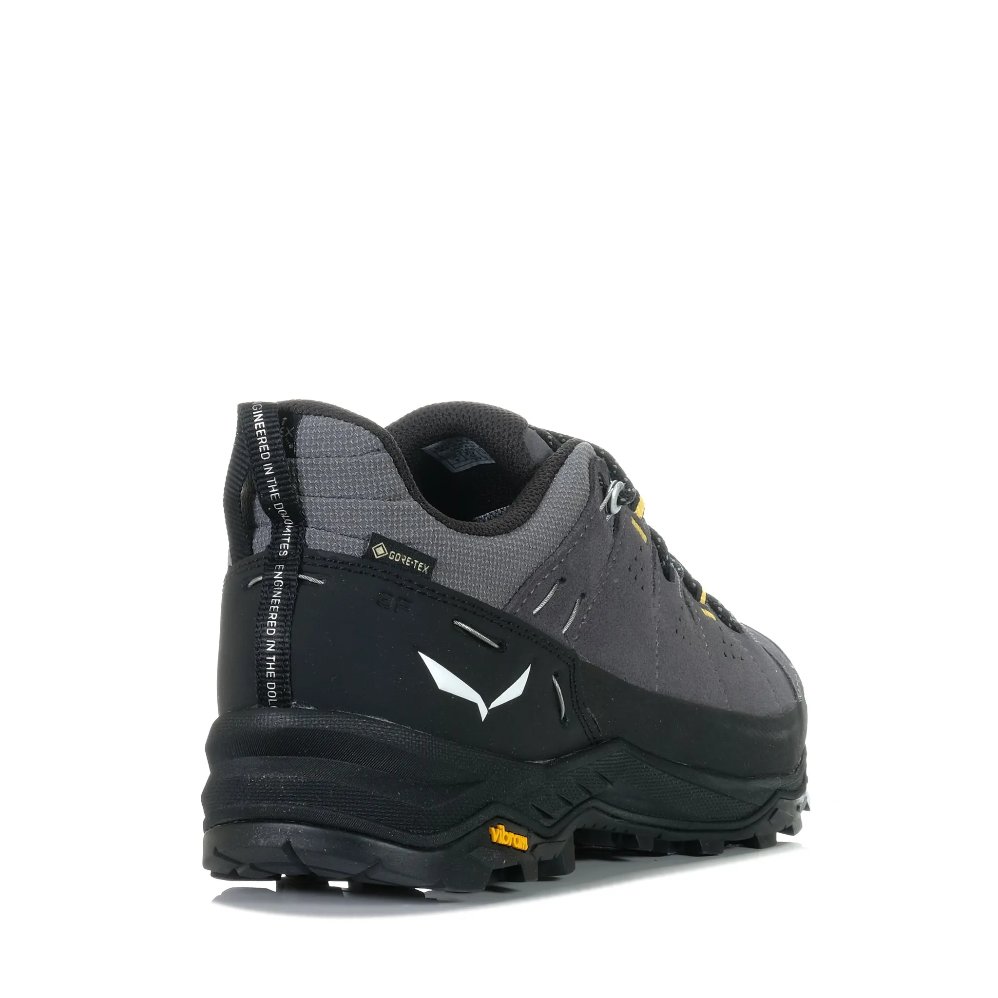 Salewa Alp Trainer 2 GTX Onyx/Noir