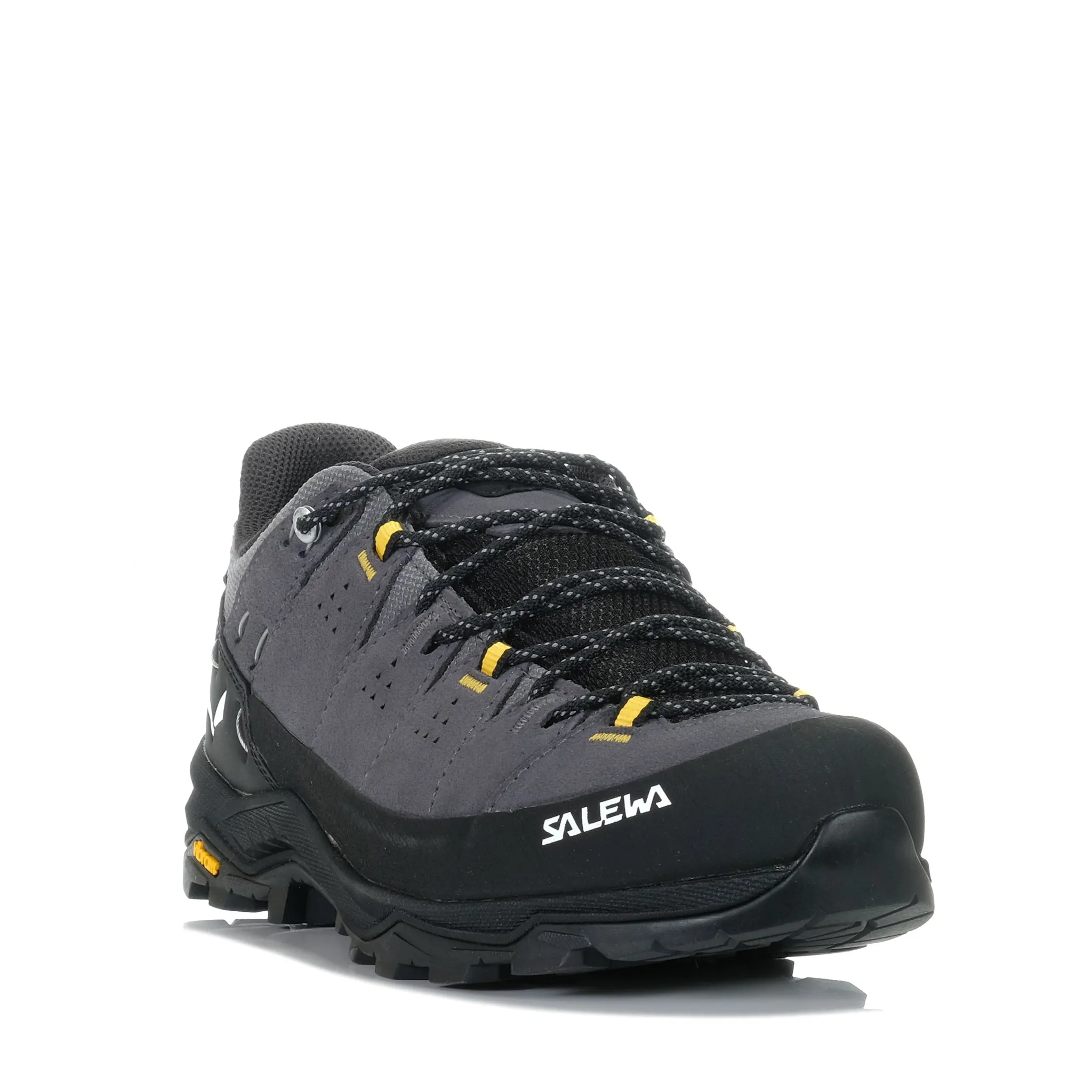 Salewa Alp Trainer 2 GTX Onyx/Noir